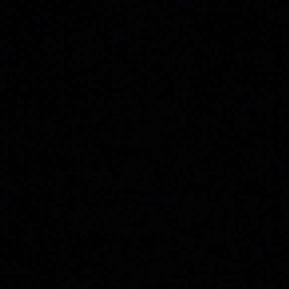 Meet your Posher, Max - Picture 1 of 1